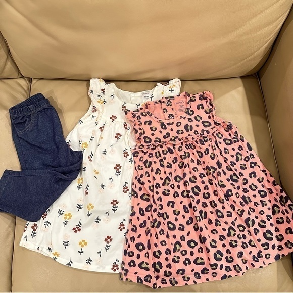 Carter's Other - Carter’s Bundle of 3 - Dresses Leggings Girls Size 18 Months